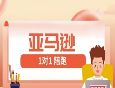 亚马逊1对1陪跑课(FBA/FBM精铺)跨境亚马逊教程-鼎誉项目网