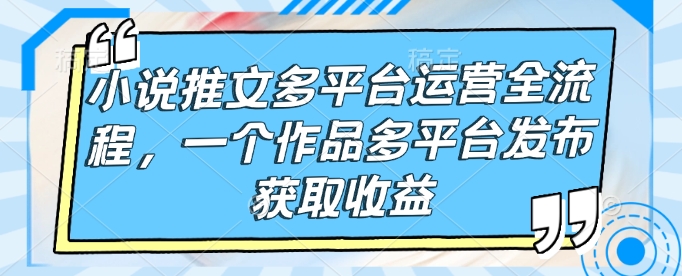 小说推文多平台运营全流程，一个作品多平台发布获取收益-鼎誉项目网