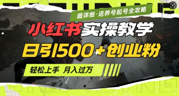 2月小红书最新日引500+创业粉实操教学【超详细】小白轻松上手，月入1W+，附小红书养号起号SOP-鼎誉项目网