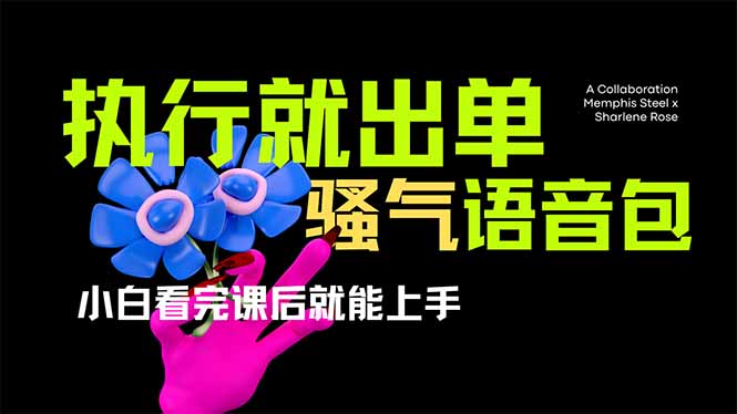 爆火全网的开车导航骚气语音包,只要执行就出单，小白看完课程就能实操…-鼎誉项目网
