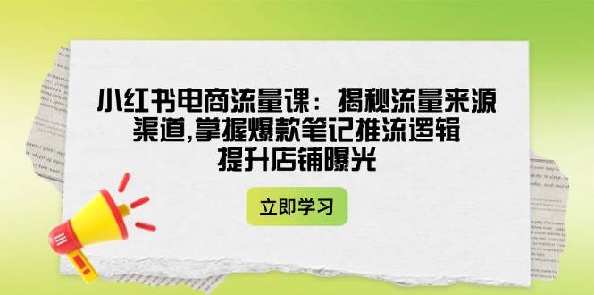 小红书电商流量课：揭秘流量来源渠道,掌握爆款笔记推流逻辑,提升店铺曝光-鼎誉项目网