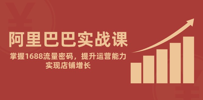 阿里巴巴实战课：掌握1688流量密码，提升运营能力，实现店铺增长-鼎誉项目网