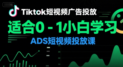 Tiktok短视频广告投放，适合0-1小白学习ADS短视频投放课-鼎誉项目网