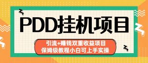 拼多多挂机项目 引流+赚钱双重收益项目(保姆级教程小白可上手实操)-鼎誉项目网