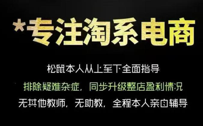 松鼠会电商VIP课程，从基础布局到高阶优化，助你掌握淘宝运营逻辑，提升店铺流量与转化(更新0711)-鼎誉项目网