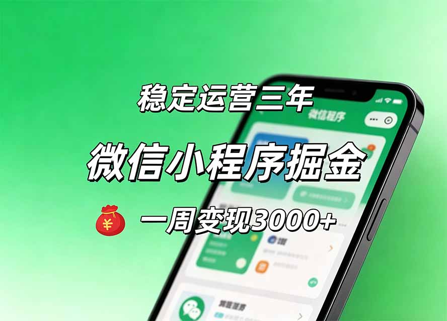 月收益稳定1W+的微信小程序，前期积累客户，后期躺平养老，小白轻松上手-鼎誉项目网