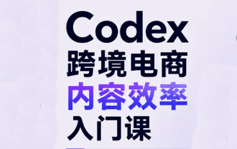 Codex跨境电商内容效率入门课-鼎誉项目网