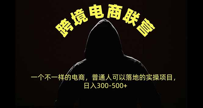跨境电商联营，一个不一样的电商，普通人可操作日入300-500+-鼎誉项目网