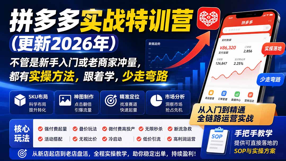 拼多多实战特训营(更新0917-鼎誉项目网