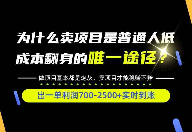 普通人如何靠互联网賺取自己的第一桶金！全类目实操型教学，看完你全都懂了！【揭秘】-鼎誉项目网