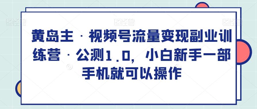 黄岛主·视频号流量变现副业训练营·公测1.0，小白新手一部手机就可以操作-鼎誉项目网