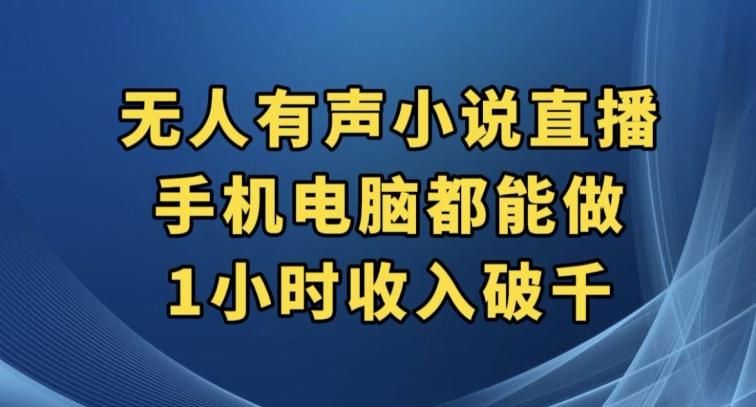 抖音无人有声小说直播，手机电脑都能做，1小时收入破千【揭秘】-鼎誉项目网