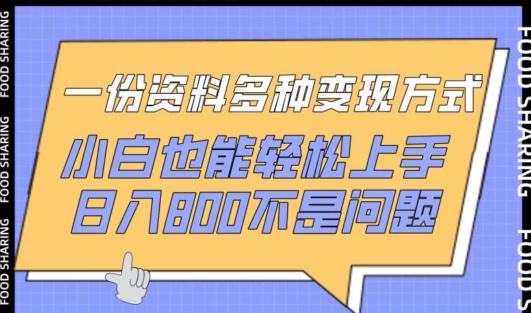 一份资料多种变现方式，小白也能轻松上手，日入800不是问题【揭秘】-鼎誉项目网