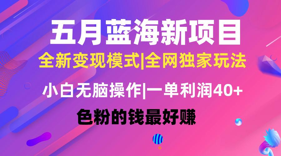 五月蓝海项目全新玩法，小白无脑操作，一天几分钟，矩阵操作，月入4万+-鼎誉项目网