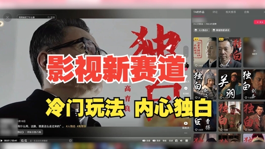 最新影视解说玩法，人物独白，30天涨粉24万+，全流程拆解【揭秘】-鼎誉项目网