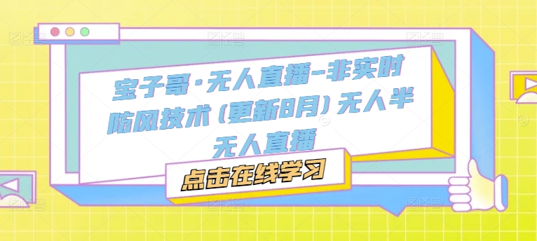 宝子哥·无人直播-非实时防风技术(更新25年5月)无人半无人直播-鼎誉项目网
