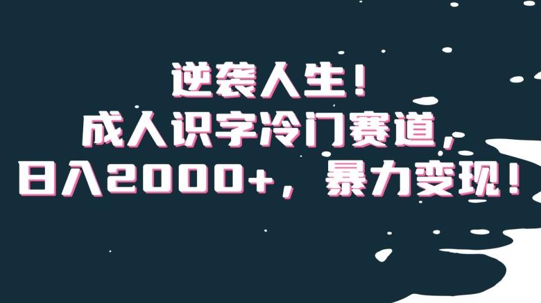 逆袭人生！成人识字冷门赛道，日入2000+，暴力变现！【揭秘】-鼎誉项目网