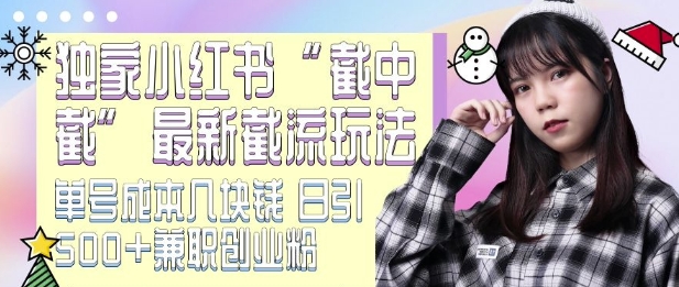 最新小红书截流玩法 独家截中截 单号成本几块钱 日引500+CY粉JZ粉-鼎誉项目网