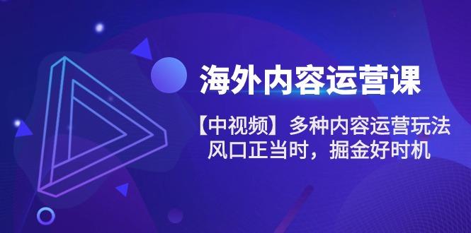 海外内容 运营课【中视频】多种内容运营玩法 风口正当时 掘金好时机-101节-鼎誉项目网