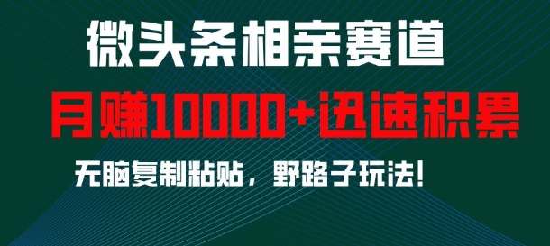 微头条相亲赛道，迅速积累，无脑复制粘贴，野路子玩法，月入1w-鼎誉项目网