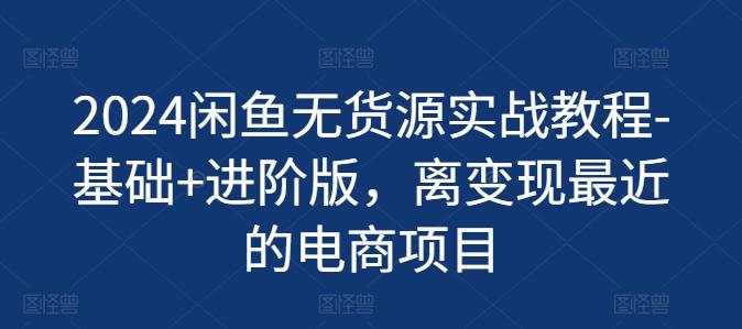 2024闲鱼无货源实战教程-基础+进阶版，离变现最近的电商项目-鼎誉项目网