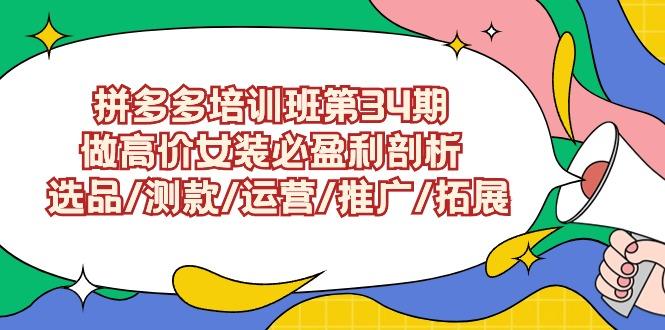(9333期)拼多多培训班第34期：做高价女装必盈利剖析  选品/测款/运营/推广/拓展-鼎誉项目网