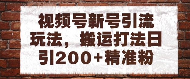 视频号新号引流玩法，搬运打法日引200+精准粉，可矩阵放大【揭秘】-鼎誉项目网