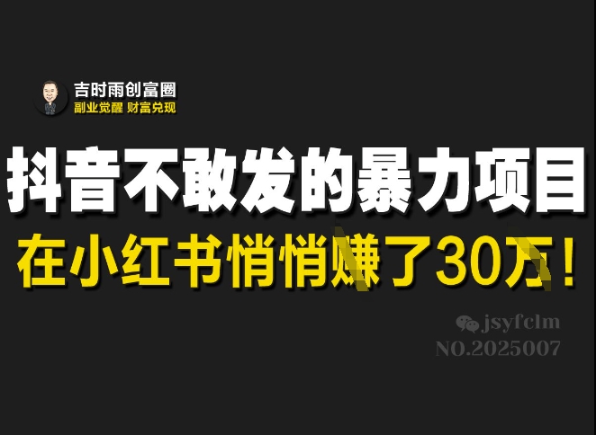 抖音不敢发的暴利项目，在小红书悄悄挣了30W-鼎誉项目网