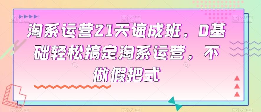 淘系运营21天速成班，0基础轻松搞定淘系运营，不做假把式-鼎誉项目网