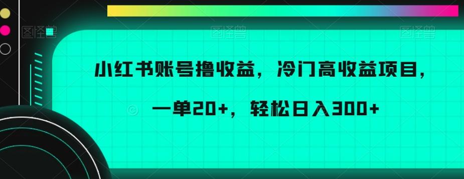 小红书账号撸收益，冷门高收益项目，一单20+，轻松日入300+【揭秘】-鼎誉项目网