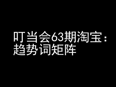 《淘宝天猫打爆班》原创高阶技术第63期，趋势词矩阵技术和玩法-鼎誉项目网