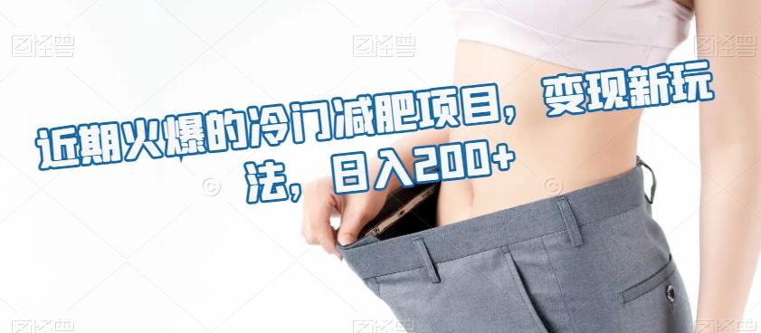 近期火爆的冷门减肥项目，变现新玩法，日入200+-鼎誉项目网