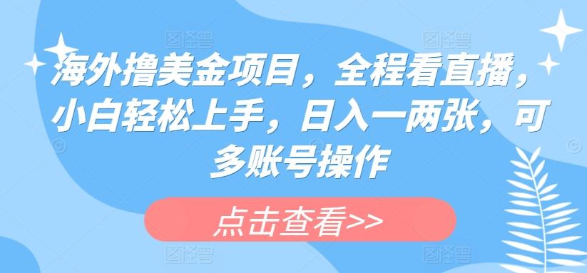 海外撸美金项目，全程看直播，小白轻松上手，日入一两张，可多账号操作【揭秘】-鼎誉项目网
