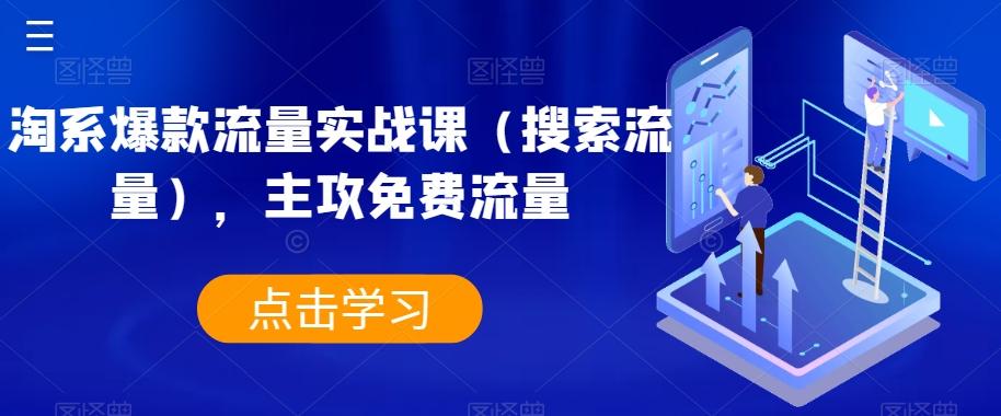 淘系爆款流量实战课（搜索流量），主攻免费流量-鼎誉项目网