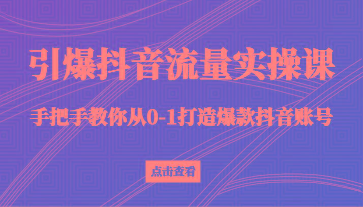 引爆抖音流量实操课，手把手教你从0-1打造爆款抖音账号(27节课)-鼎誉项目网