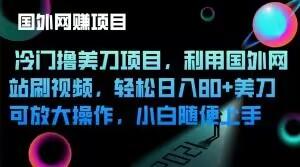 冷门撸美刀项目，利用国外网站刷视频，轻松日入80+美刀，可放大操作，小白随便上手-鼎誉项目网