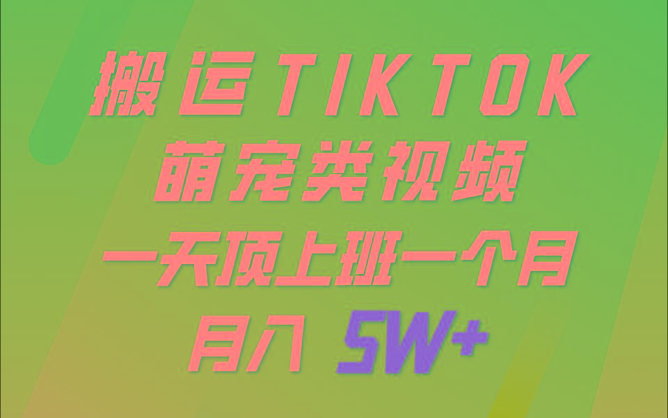 一键搬运TIKTOK萌宠类视频，一部手机即可操作，所有平台均可发布 轻松月入5W+-鼎誉项目网