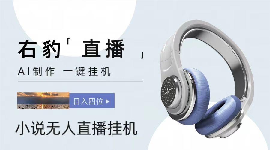 右豹小说无人直播挂机吸金项目,简单易行收益稳定, 月入1000+-鼎誉项目网