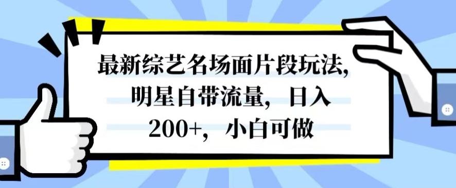 最新综艺名场面片段玩法，明星自带流量，日入200+，小白可做【揭秘】-鼎誉项目网