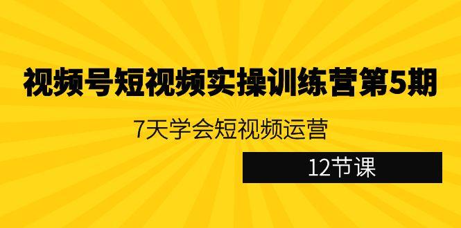 视频号短视频实操训练营第5期：7天学会短视频运营(12节课)-鼎誉项目网