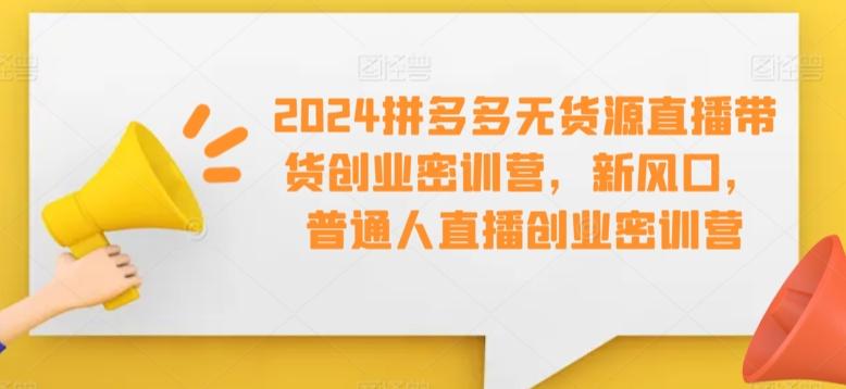 2024拼多多无货源直播带货创业密训营，新风口，普通人直播创业密训营-鼎誉项目网