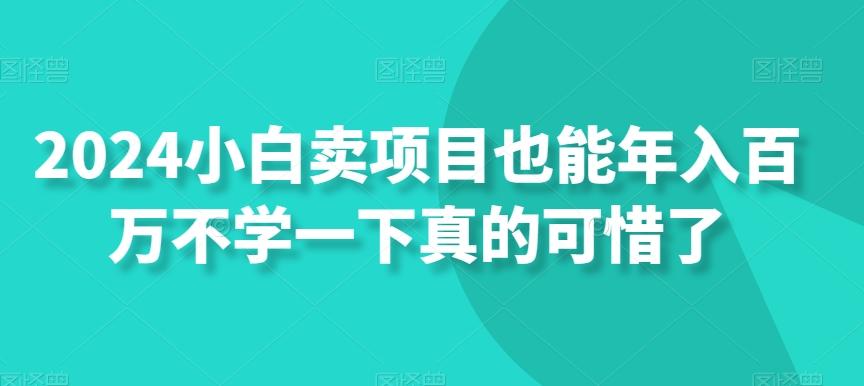 2024小白卖项目也能年入百万不学一下真的可惜了-鼎誉项目网
