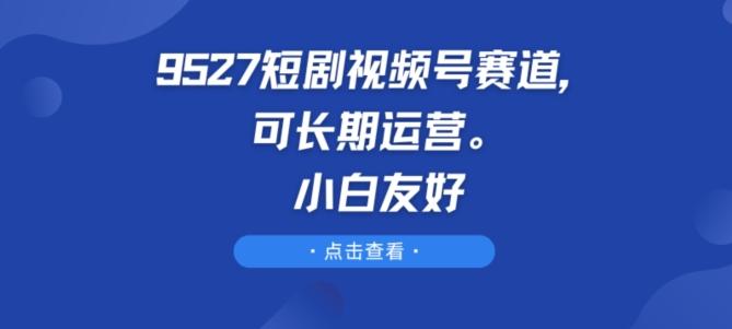 9527短剧视频号赛道，可长期运营，小白友好【揭秘】-鼎誉项目网
