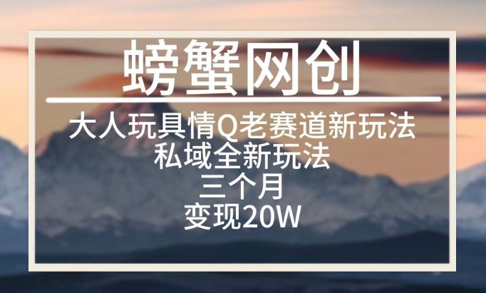 大人玩具情Q用品赛道私域全新玩法，三个月变现20W，老项目新思路【揭秘】-鼎誉项目网