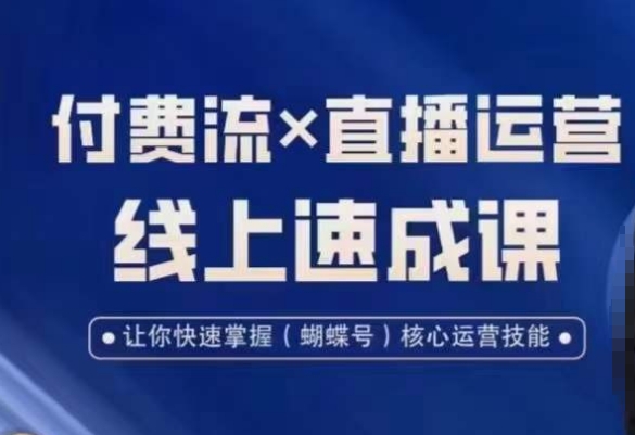 视频号付费流实操课程，付费流✖️直播运营速成课，让你快速掌握视频号核心运营技能-鼎誉项目网