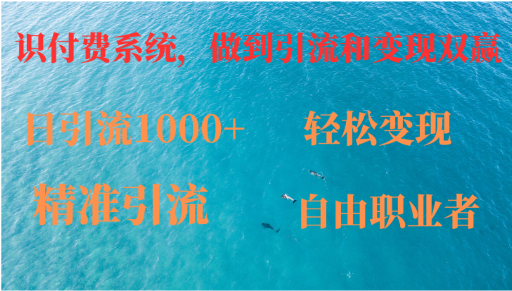 如何搭建自己的知识付费系统，做到引流和变现双赢-鼎誉项目网