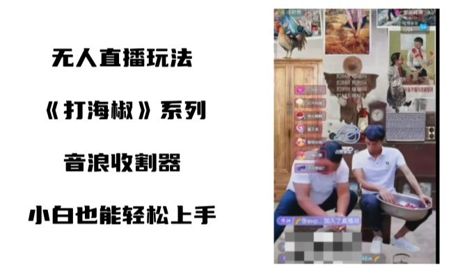 打海椒无人直播整蛊项目，小白轻松上手撸音浪收割器（教程+工具+素材）-鼎誉项目网