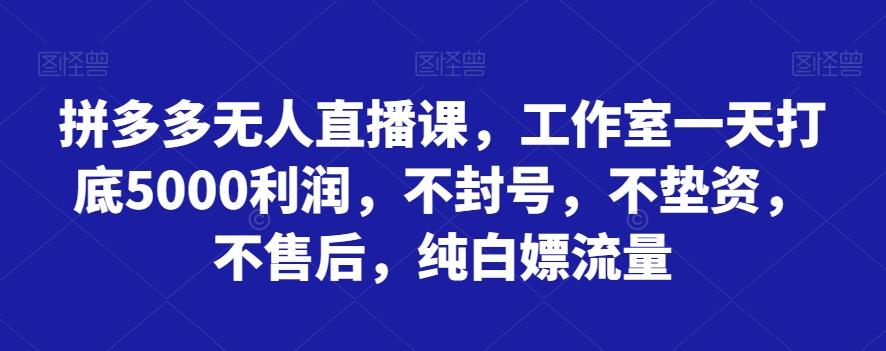 拼多多无人直播课，工作室一天打底5000利润，不封号，不垫资，不售后，纯白嫖流量-鼎誉项目网