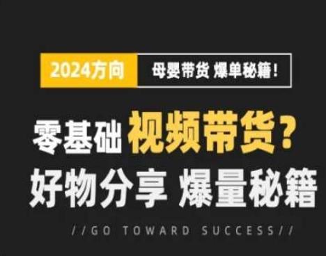 短视频母婴赛道实操流量训练营，零基础视频带货，好物分享，爆量秘籍-鼎誉项目网