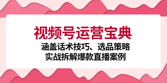 视频号运营宝典：涵盖话术技巧、选品策略、实战拆解爆款直播案例-鼎誉项目网